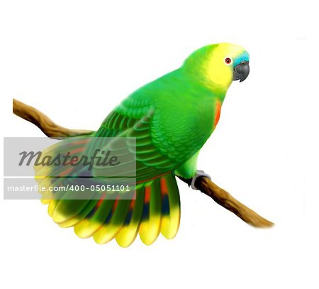 A colorful blue front Amazon parrot in airbrush by avian artist, Carolyn McFann.