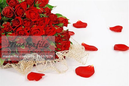 Bunch of red roses isolated on the white background with petals around