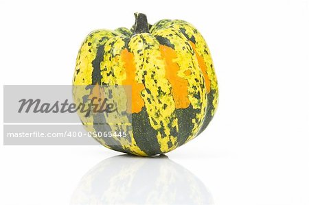 colorful pumpkin with reflection isolated against white background