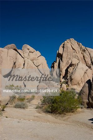 Joshua Tree National Park is located in south-eastern California.