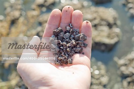 hand with black soil