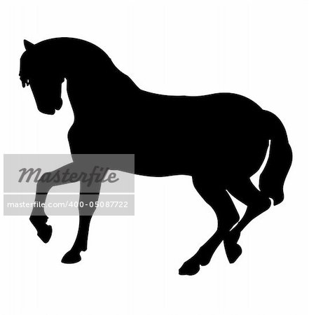 Black horse silhouette