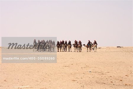 camel caravan on the sahara desert in the tunisia
