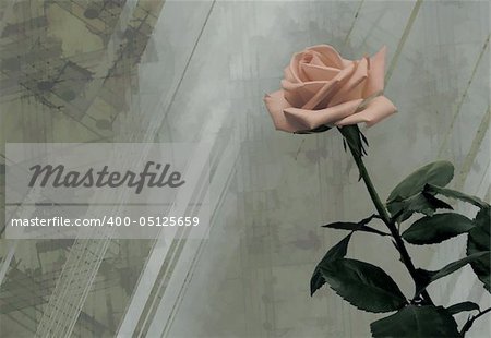 Vintage background with pink rose