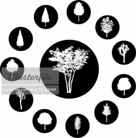 The set from silhouettes of trees, is presented in the form of 12 buttons.