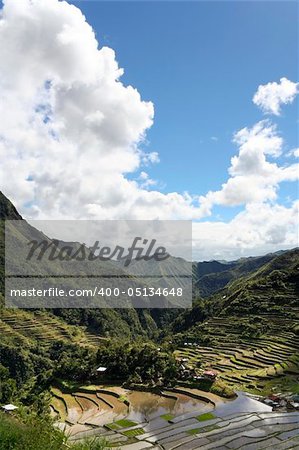 clouds towering in blue sky reflected in the ancient rice terraces of batad, in northern luzon, the philippines