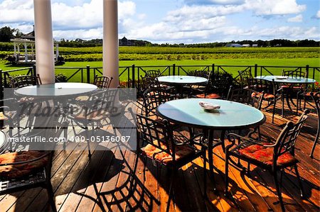 Patio chairs and tables near vineyard at winery