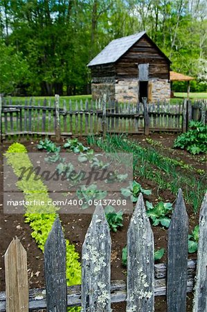 farming garden with barn house and fence in foreground