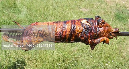 the just roasted pig on a spit