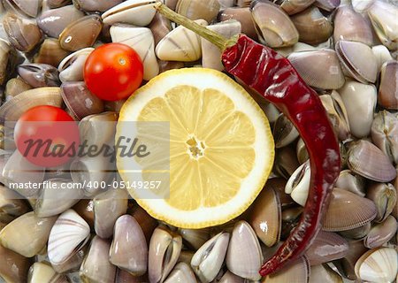 Clams with tomato, chili and lemon, seafood from mediterranean