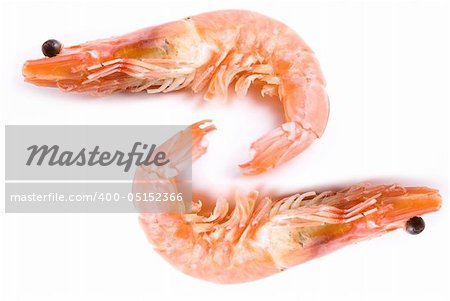 Two Shrimps isolated on white background