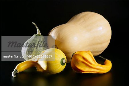 Varied colorful pumpkin still over black background