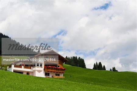 Traditional alpine chalet on a green meadow. Summer time