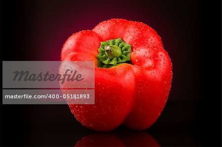 Red sweet pepper with water drops on  dark red background