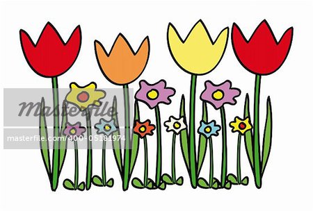 nice illustration of tulips and other flowers isolated on white