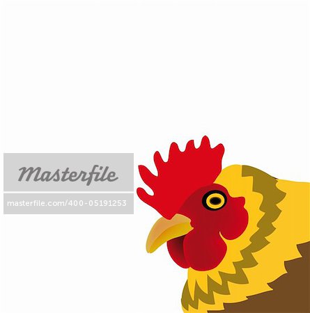 nice illustration of chicken isolated on white background