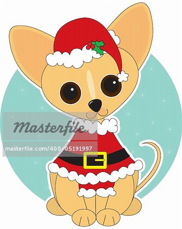 Chihuahua  dressed for Christmas in a Santa suit