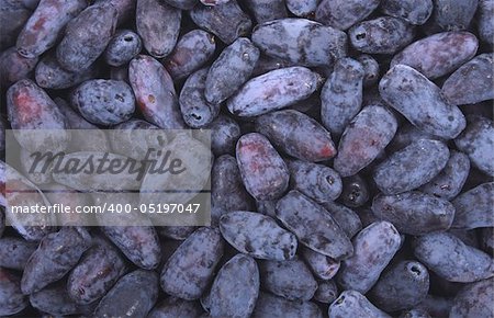 exotic blueberries texture as very nice food background