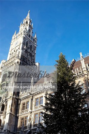 The Neues Rathaus in Munich, Germany, with a Christmas tree in front