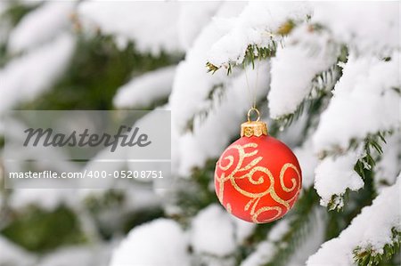 Christmas decorating bulbs and a snowy branch