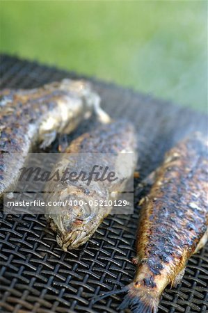 Three trout on grill. Shallow dof, copy space