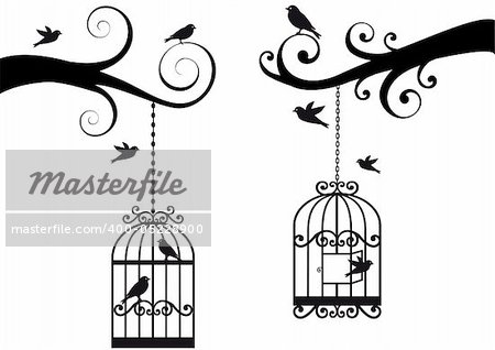 ornamental tree branches with bircage and birds, vector background