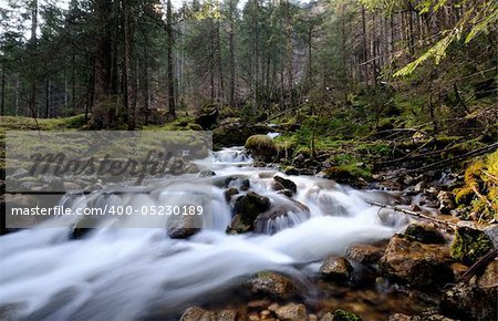 a stream in the mountains