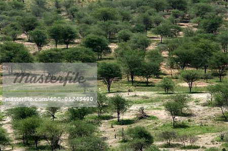 Tarangire National Park - Wildlife Reserve in Tanzania, Africa