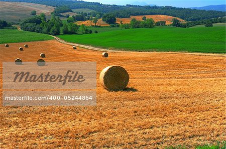 Toscana Landscape With Many Hay Bales In The Morning
