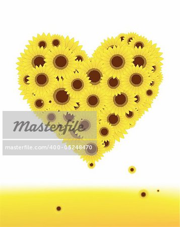 Sunflowers heart shape for your design, summer