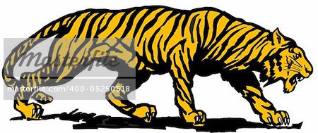 Vector abstract illustration. The orange predatory tiger.