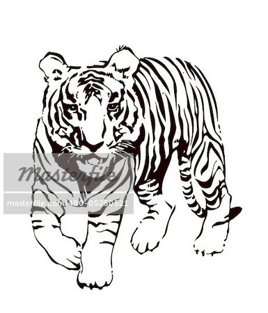 Vector abstract illustration. The white predatory tiger.