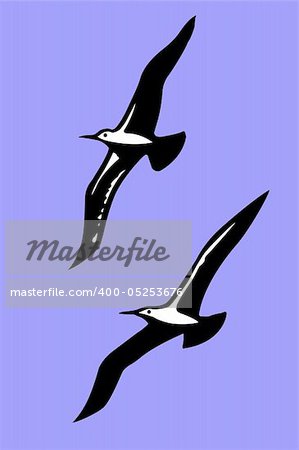 silhouettes of the sea birds on background blue sky