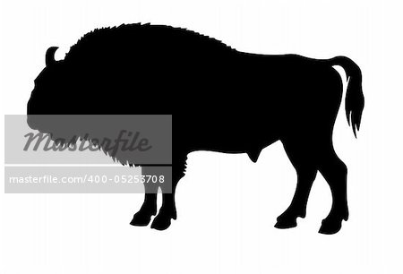 silhouette of the buffalo on white background
