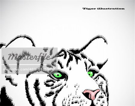 Vector image of tiger head isolated on white background