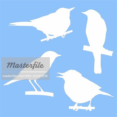 vector silhouettes of the birds sitting on branch tree