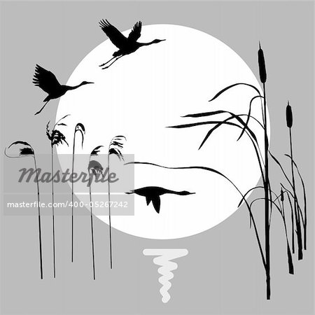 vector drawing flying birds on background sun