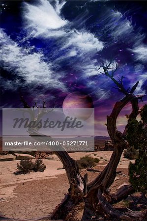 Desert Tree and Horizon