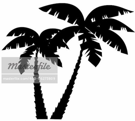 vector silhouettes of palms