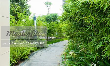 A stone walkway winding its way through a tranquil garden.