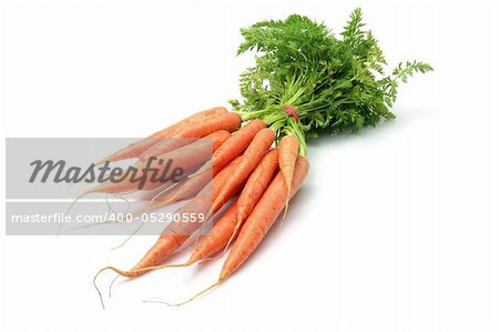 Carrots on White Background