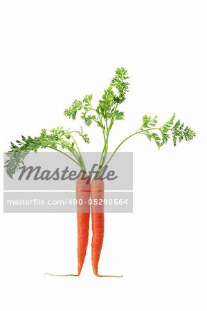 Carrots on White Background