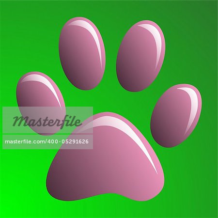 Illustration of animal paw print on a pink background.