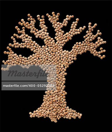 Tree made of crimson lentil