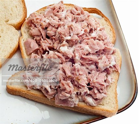 Open Face Tuna Salad Sandwich Healthy Lunch.