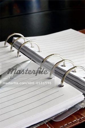 business organizer, notebook or planner with pen