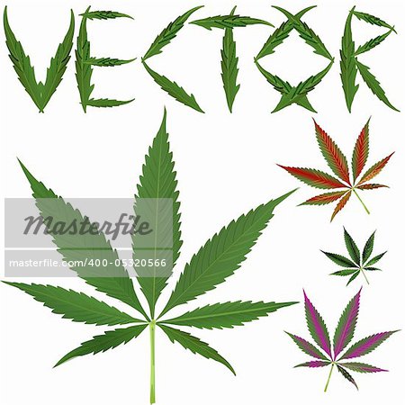 marijuana leafs vectors against white background, abstract art illustration