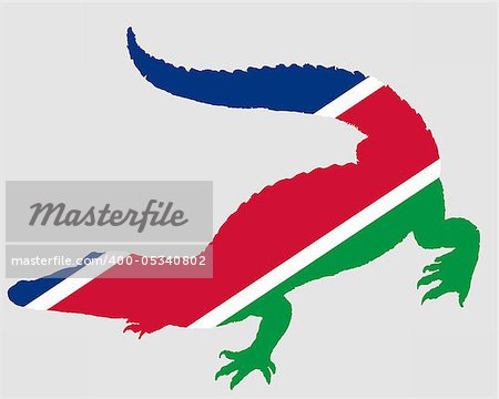 Crocodile Namibia