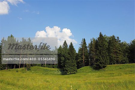 Russian rural landscape