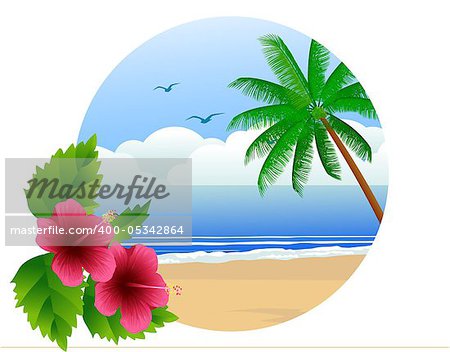 Vector illustration of tropical beach background